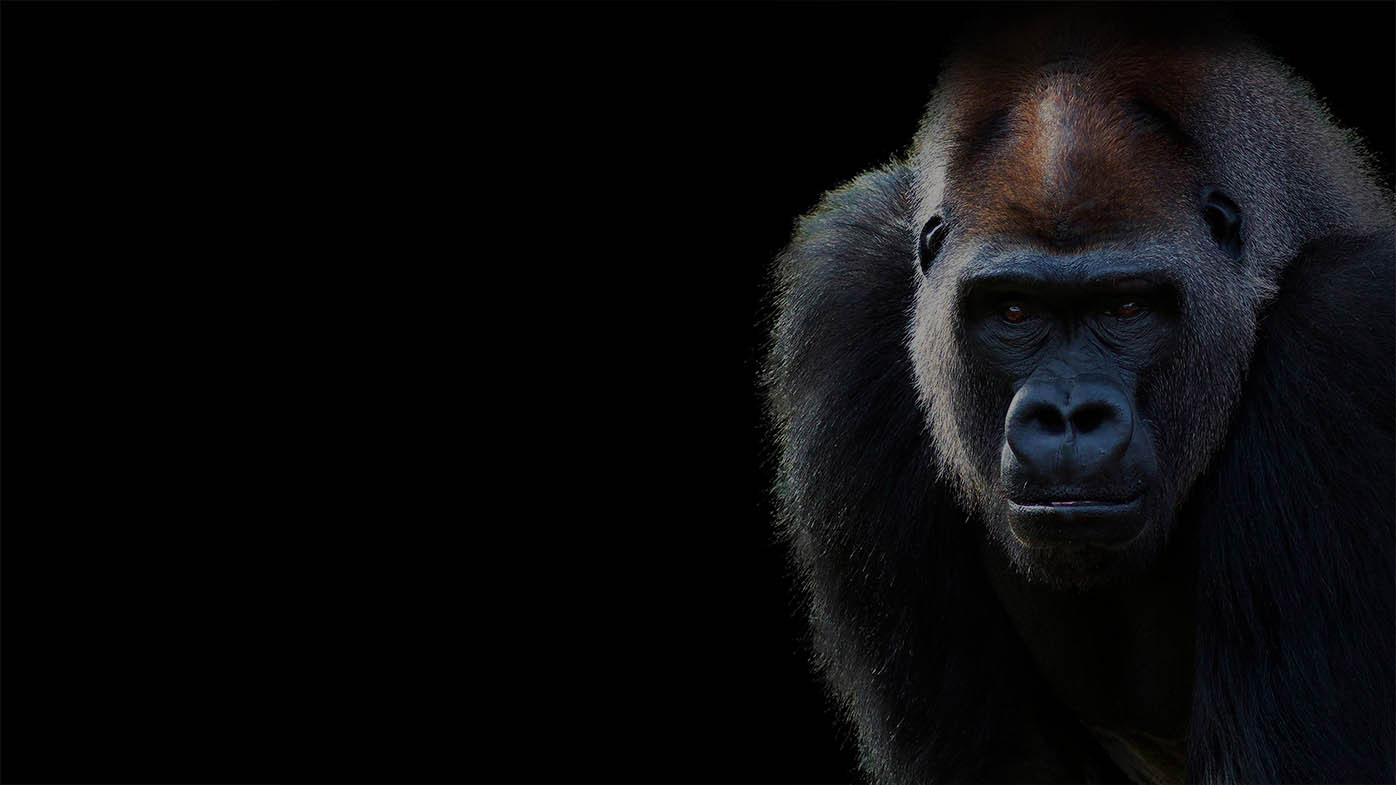 Stopite v stik z nami